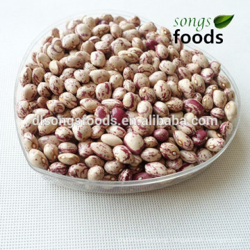 2014 crop Light Speckled Kidney Beans Xinjiang Round